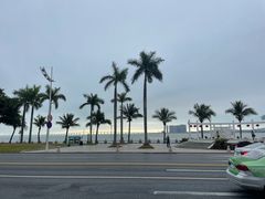 -金悦轩海鲜酒家(拱北店)