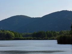 -长广溪湿地公园