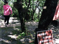 -天燕原始生态旅游区-天门垭景区