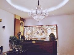 -猴满足影院足道SPA(金钟路店)