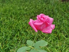 -长辛店二七公园