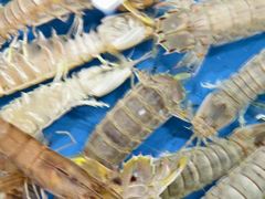 -粤盛海鲜平价店(洛溪食街店)