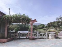 -大屏嶂森林公园