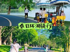 -松山湖南湖湾露营营地