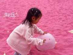 -上海鲜花港
