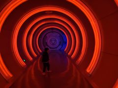 -蓬莱欧乐堡梦幻世界