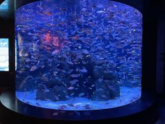 -成都浩海立方海洋公园