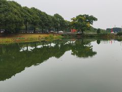 -水岸居湖景农家乐·阳澄湖大闸蟹