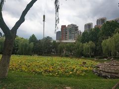 -堤角公园