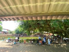 -侯臣咖啡文化村