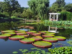 -国家植物园南园