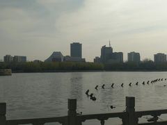 -莲花池公园
