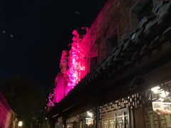 -花·fleur古董西餐厅(西城夜未央店)
