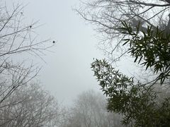 -终南山南五台景区