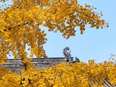 -古大圣慈寺