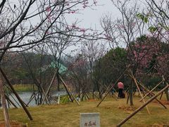 -广州汇华希尔顿逸林酒店