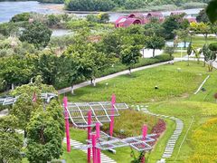 -芒洲湿地公园