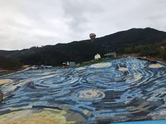 -瓷天下海丝谷