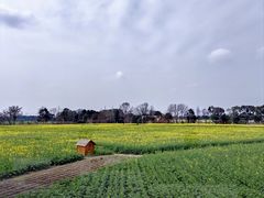 -中国天府农业博览园