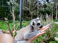 -云南野生动物园