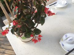 -听香·678茶铺(猛追湾店)