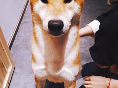 -帝京日语(春熙路旗舰校区)