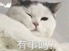 -宠爱国际动物医院· 猫科· 外科·中兽医(长白店)
