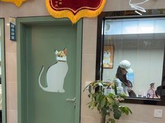 -半岛宠物医院24小时·内窥镜·牙科·碎石中心(府城大道店)