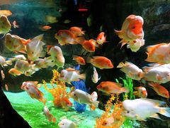 -泉城欧乐堡海洋极地世界