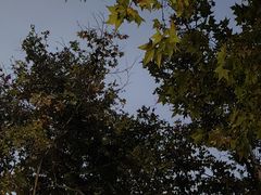 -取水楼(地铁站)
