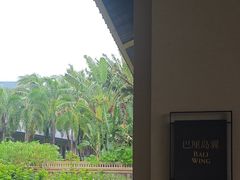 -海南清水湾莱佛士酒店