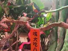 -正佳雨林生态植物园