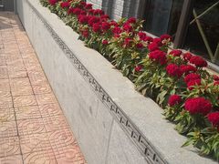 -湘西小馆(滨河路店)