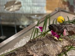 -都喜天丽富都青枫苑酒店-青枫小筑