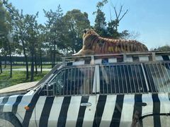 -上海野生动物园