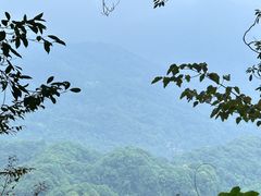 -青城山