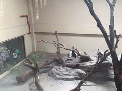 -宁波野生动物园