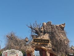 -大槐树寻根祭祖园