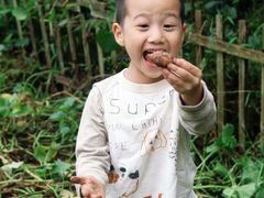 -艺年级儿童语言艺术中心(冉家坝爱融荟城店)