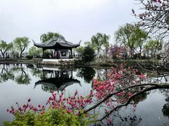 -无锡蠡湖国家湿地公园-蠡园