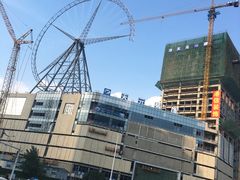 -小杨生煎(香港名都店)