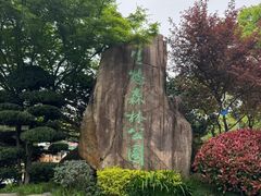 -昆山城市生态森林公园