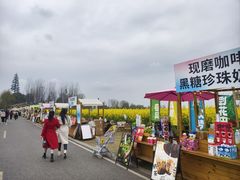 -中国天府农业博览园