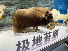 -中国湿地博物馆
