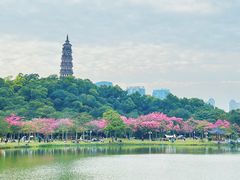 -顺峰山公园