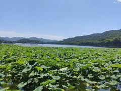 -西湖游船