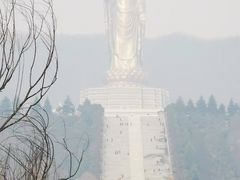 -中原大佛景区