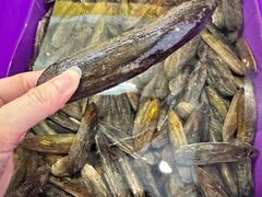 -水上鱼当家