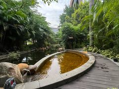 -漳州佰翔圆山酒店·圆山畔西餐厅