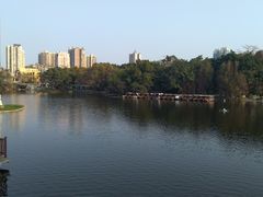 -荔湾湖公园